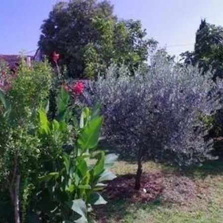 In Mit Grill, Garten Und Terrasse * Rakalj
