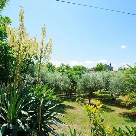 Holiday home In Mit Grill, Garten Und Terrasse *
